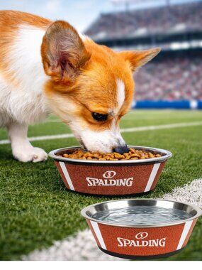 Spalding 🏈Football 🏈Dog Bowl Set (2-Pack) | Stainless Steel Pet Bowls | NEW
